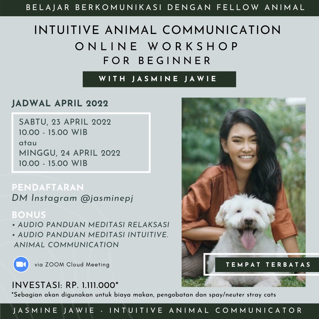 Jasmine - Intuitive Animal Communicator on Twitter: Jasmine - Intuitive Animal Communicator on Twitter: