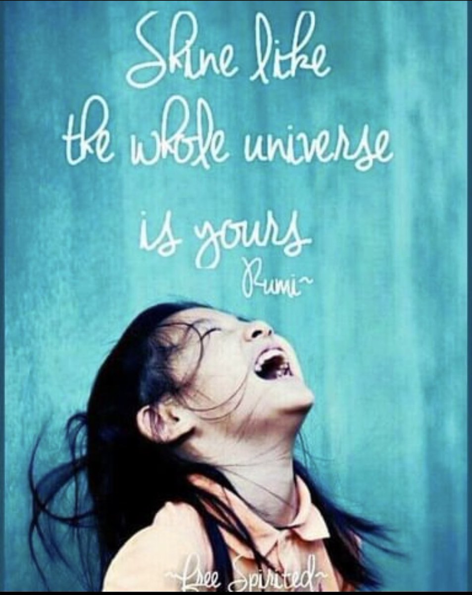 Renee Mackay tweet media