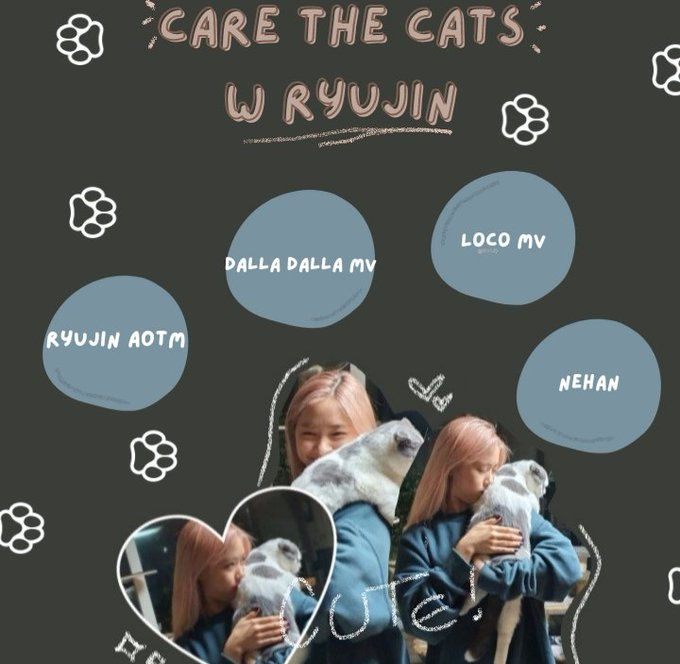 gmhyin's tweet photo. 🐈 CARE THE CATS W RYUJIN ! 
                   by: @ryudinamicas 

있지 류진 #있지 #류진 #ITZY #RYUJIN @ITZYofficial https://t.co/X9qjBBAtkT