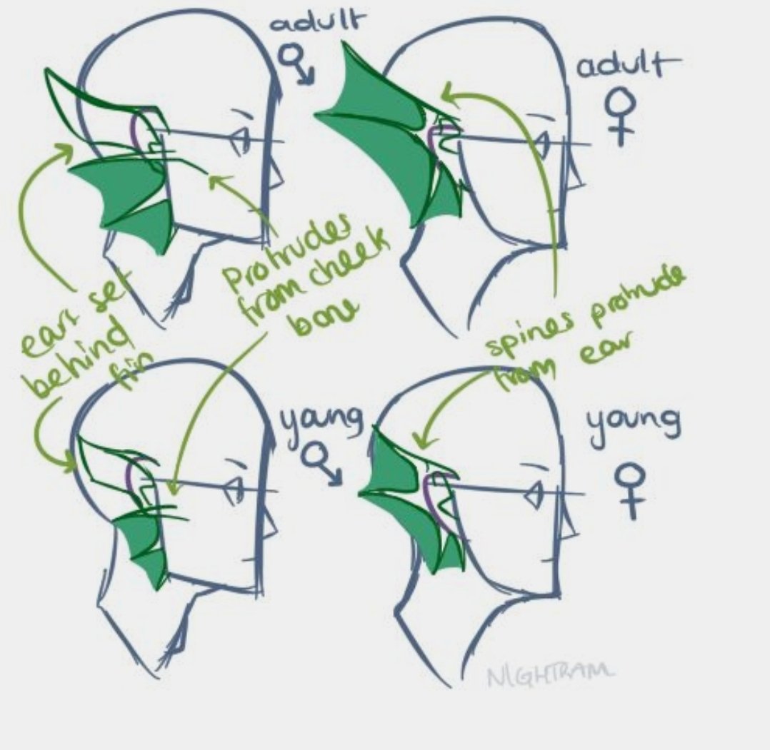 Homestuck troll Anatomy