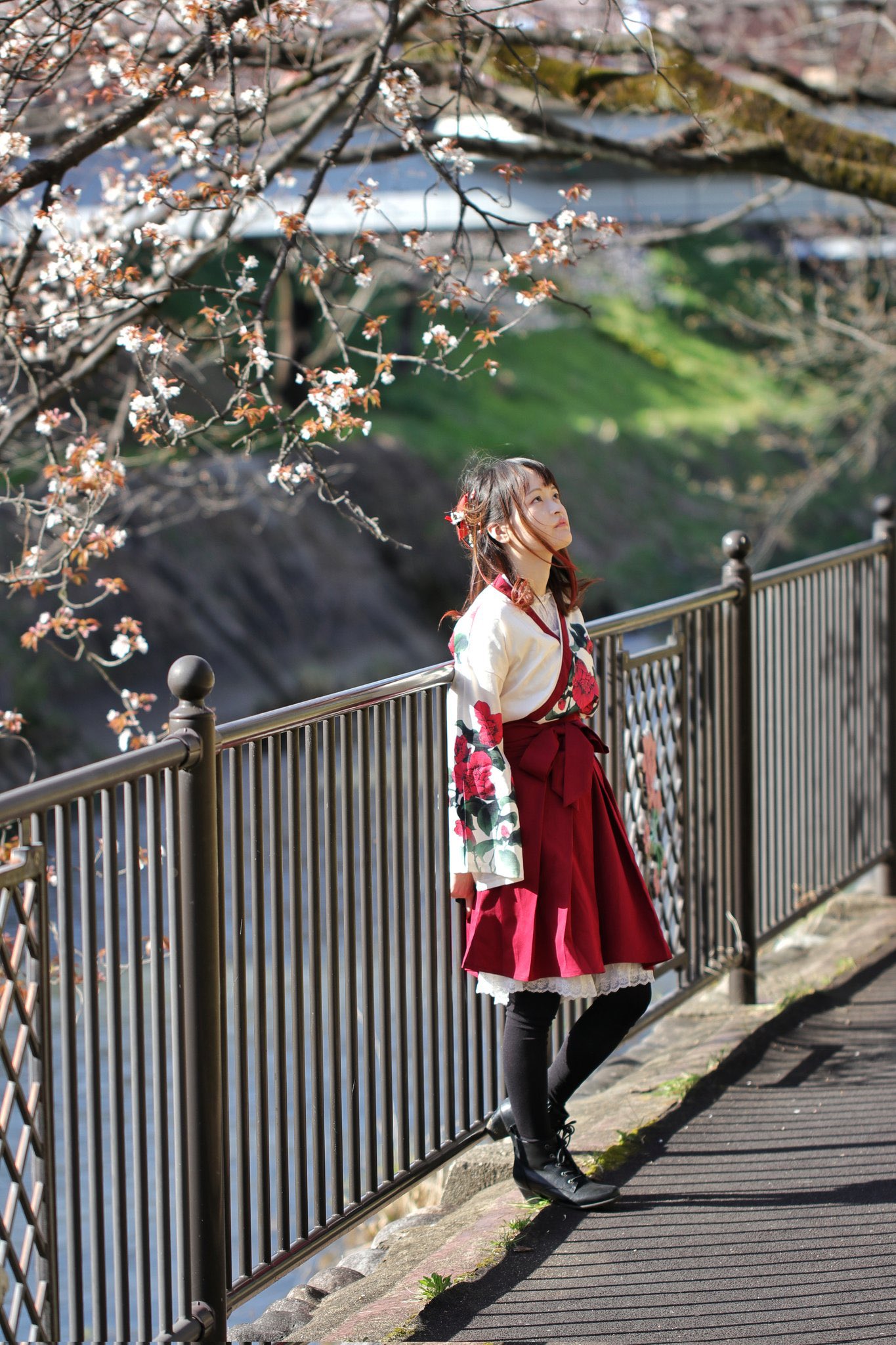 椿紗奈 Sana Pa Twitter 各務原 桜まつり 撮影 げんちゃん 各務原 各務原桜まつり 桜まつり 桜 写真好きな人と繋がりたい ファインダー越しの私の世界 Live写真 椿紗奈 Saya T Co Clao8xnwmn Twitter
