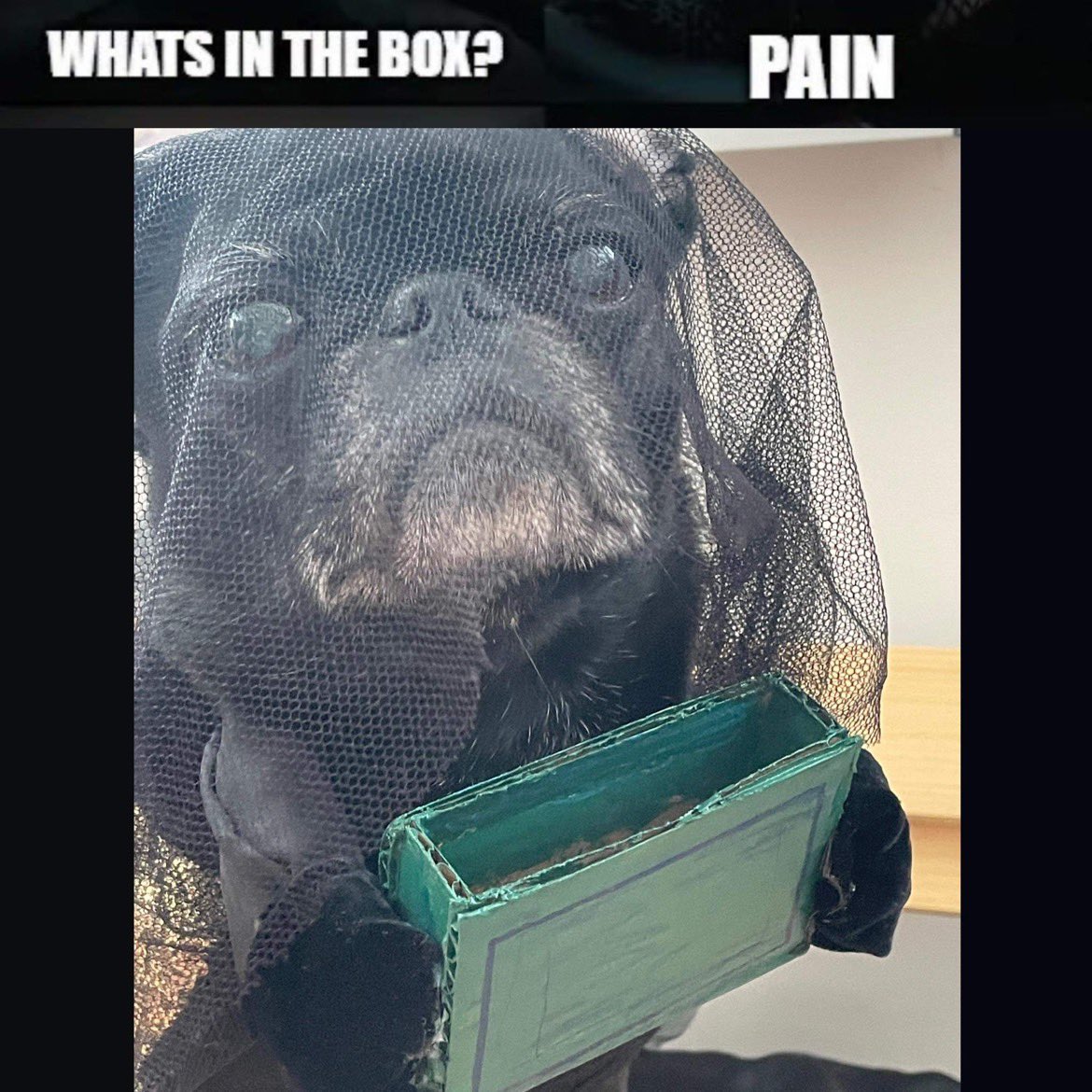 Sam Hudecki tweet media