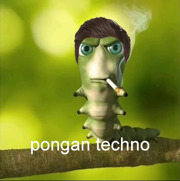 Hardwell Argentina 🇦🇷 tweet media