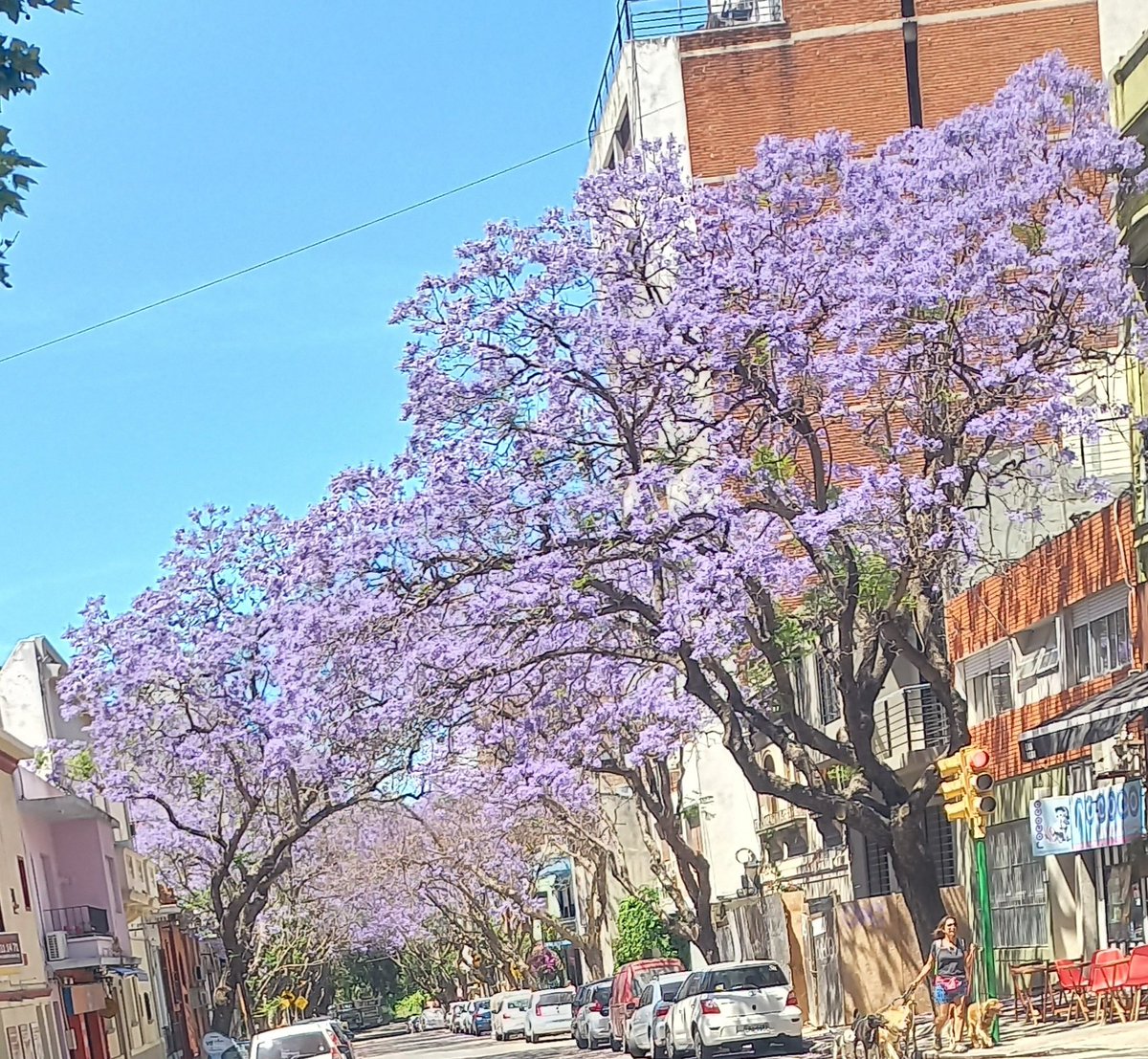 Roly7811's tweet photo. Montevideo https://t.co/JcOSGsLaYN
