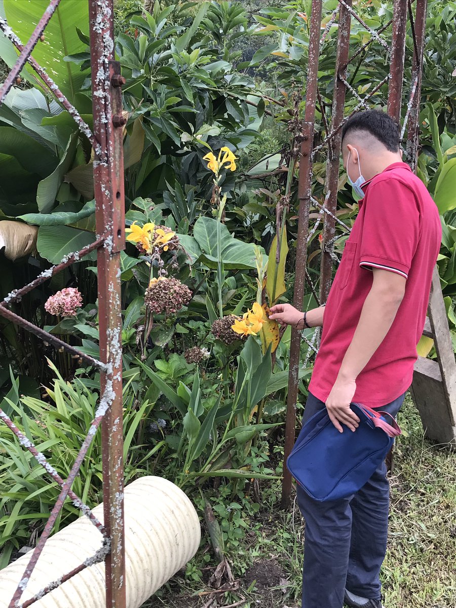 Ana Maria Ardila tweet media