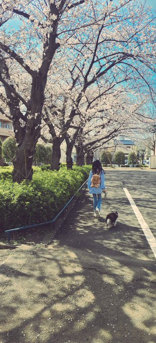 Twitterのコスプレ画像38