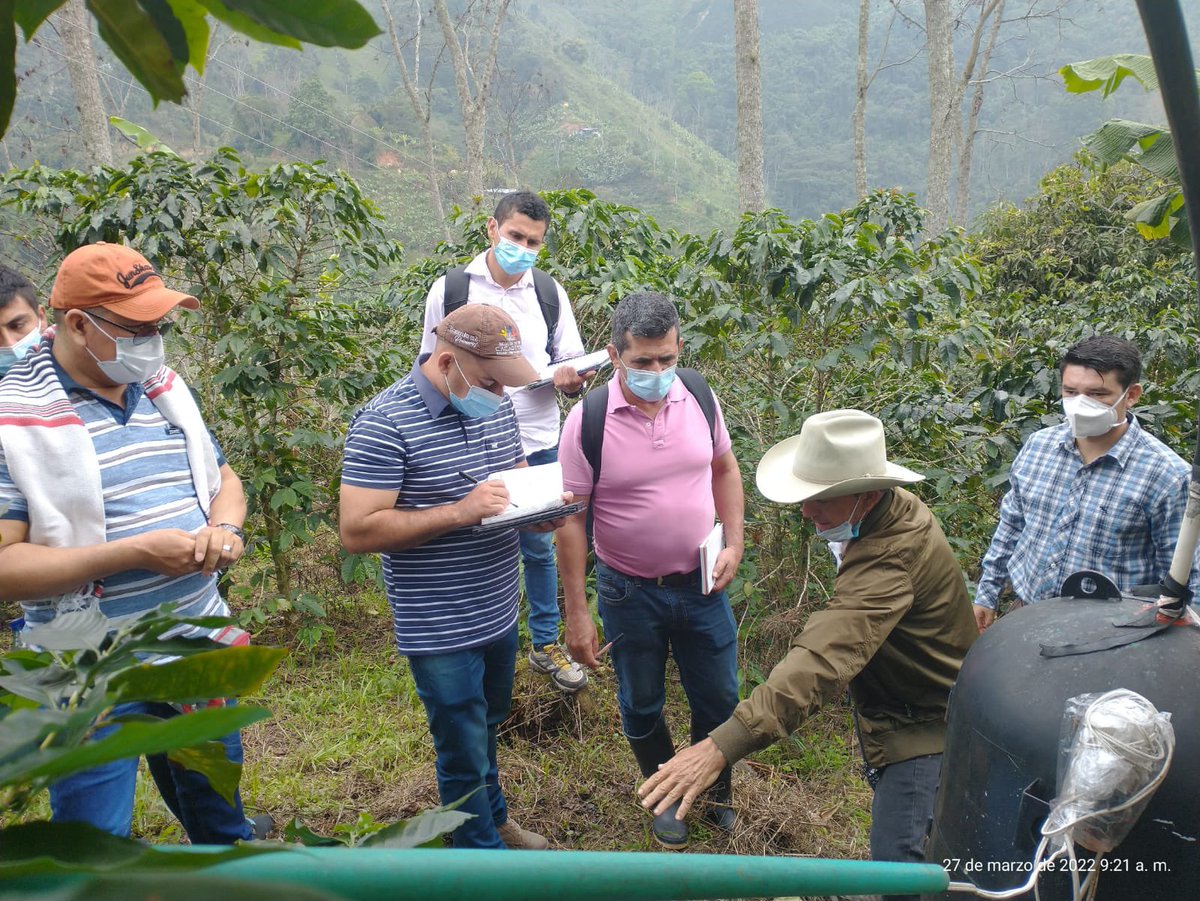 Ana Maria Ardila tweet media