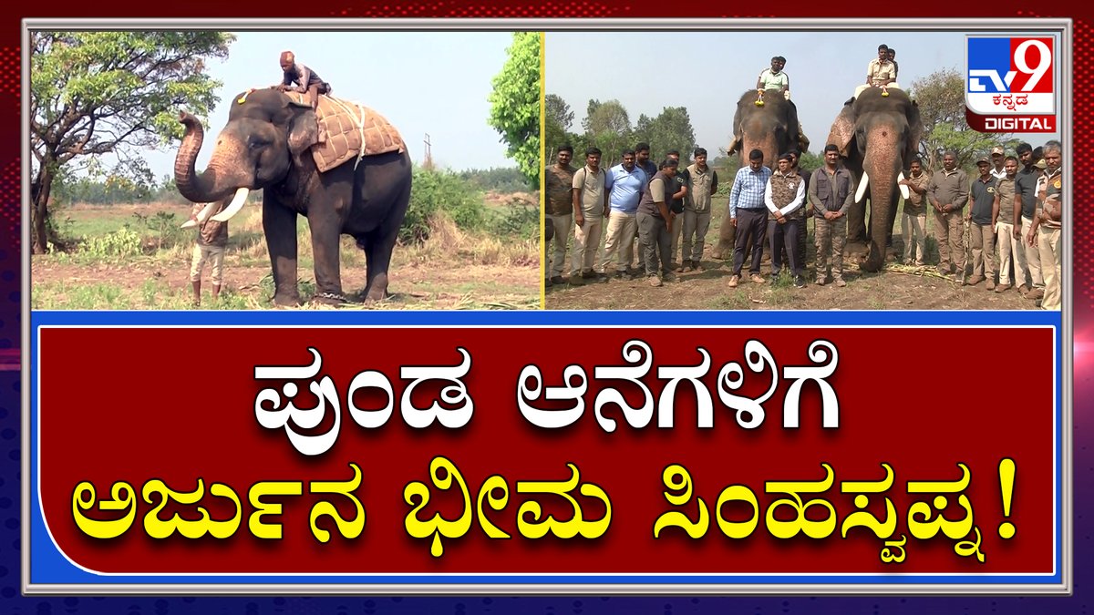 tv9kannada's tweet photo. Elephant Hunting : ಕಾಫಿನಾಡಲ್ಲಿ ಉಪಟಳ ನೀಡ್ತಿರುವ ಕಾಡಾನೆಗಳನ್ನ ಕಾಡಿಗಟ್ಟಲು ದಸರಾ ಆನೆಗಳು ಎಂಟ್ರಿ | TV9Kannada
Video Link►https://t.co/ZWgrrIHF8F
#TV9Kannada #ElephantHunting #DasaraElephants #Arjuna #Bheema #ElephantsCame #ForestDepartment https://t.co/sr0YCKDtCs