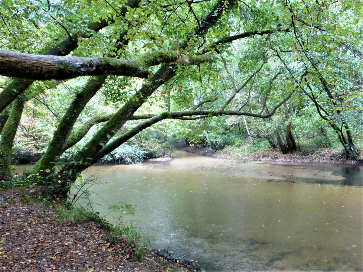 Projet LGV GPSO Bx TOULOUSE : Le coût de la LGV annoncé à 14 milliards d’euros paraît largement sous-estimé. On pointe l’inflation des prix des matériaux accentuée par la conjoncture liée à la guerre en Ukraine. Gabegie d'argent public.. pour une destruction de la biodiversité.