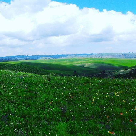 BIASHARACONNEC2's tweet photo. #VisitTanzania
#VisitKitulo https://t.co/lDwD8XcvXa