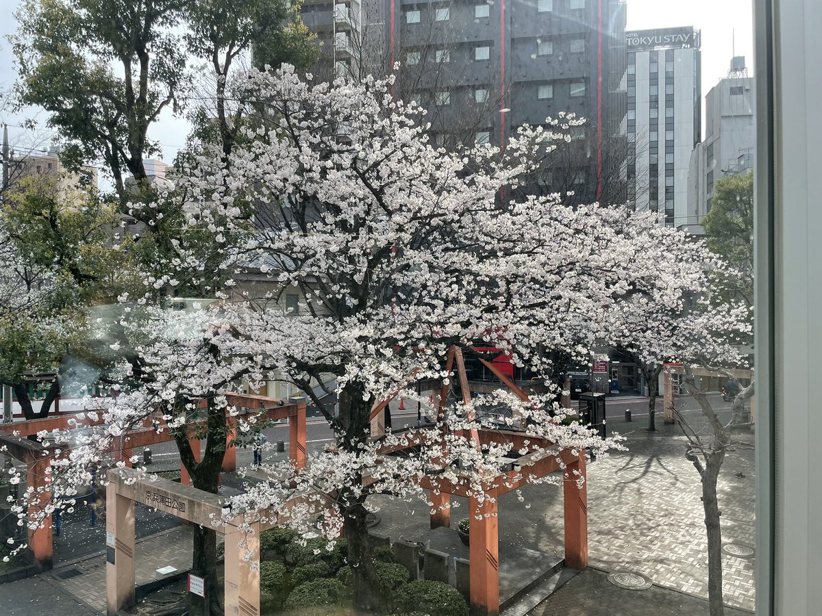 ISAJIGO_1345's tweet photo. #おおた国際交流センター の内覧会へ。
評議員を務めている、(一財)国際都市おおた協会の拠点になります。
愛称は #MintoOta
多言語相談や国際交流などの拠点です。
消費者生活センターのmicsおおたの機能は、全てこちらのセンターに移ります。
4月11日オープンです! https://t.co/thUTWjYKag