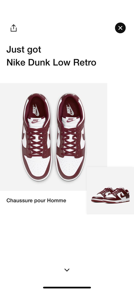 InfernalTheKing _ tweet media