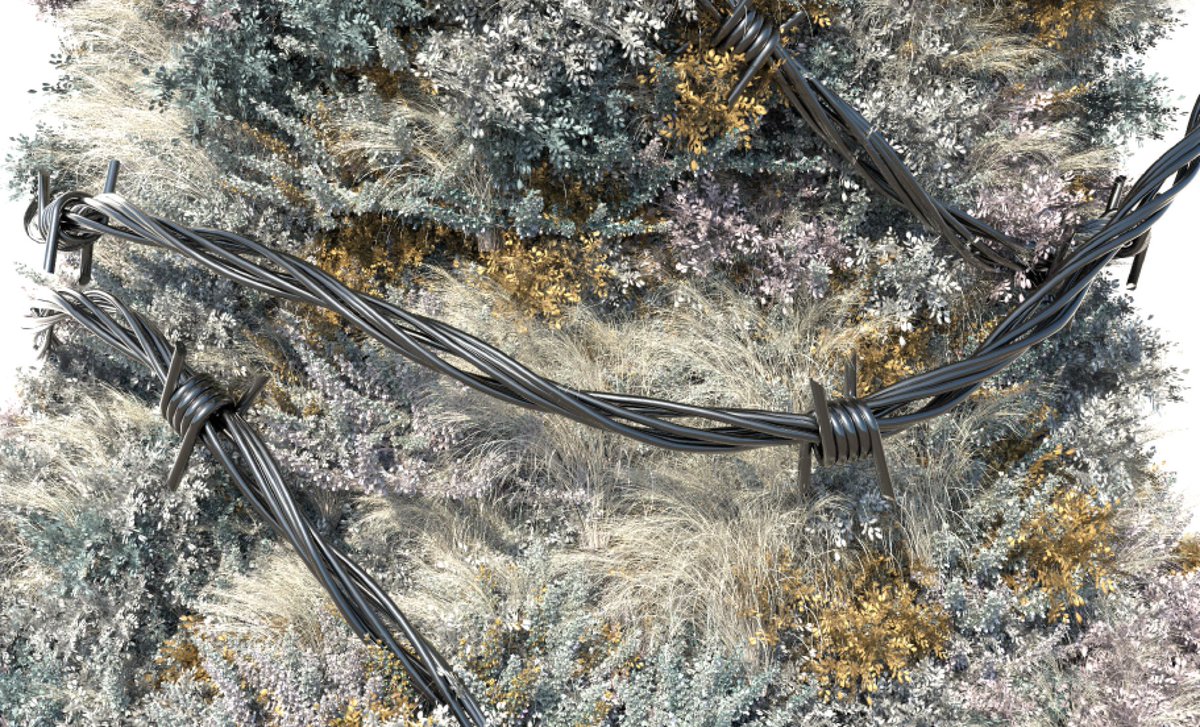 gm, have a great Monday 🌱💚
WIP (25hrs of render so far, and still not over 🥵)