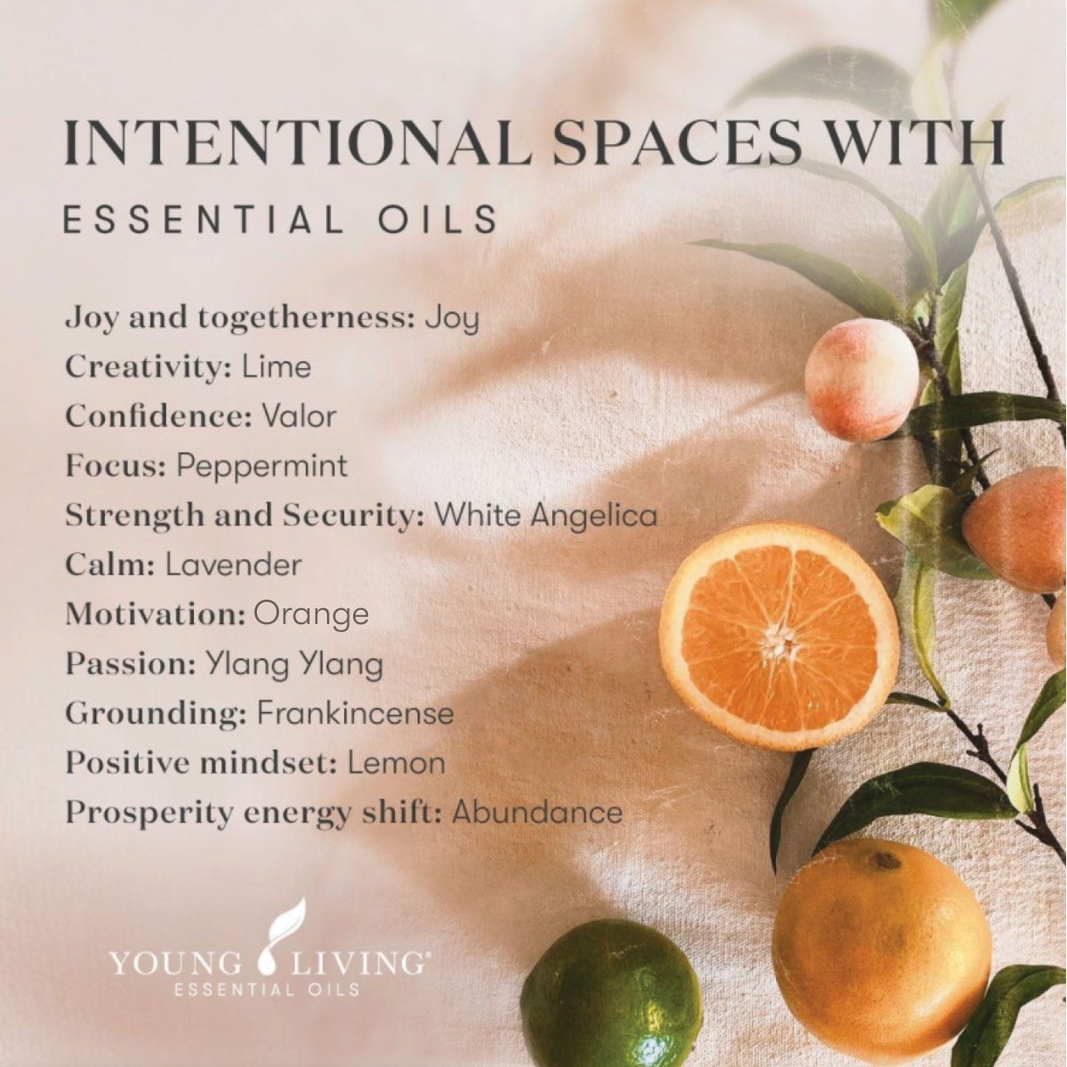 YoungLivingAF's tweet image. We love this post by @younglivingaunz 🧡

The scents we surround ourselves with have a direct impact on our emotions, so it's important think about the feelings we want to channel as we go about our days.🍃 #IntentionalSpaces #DitchAndSwitch #EssentialOils #YoungLivingAfrica