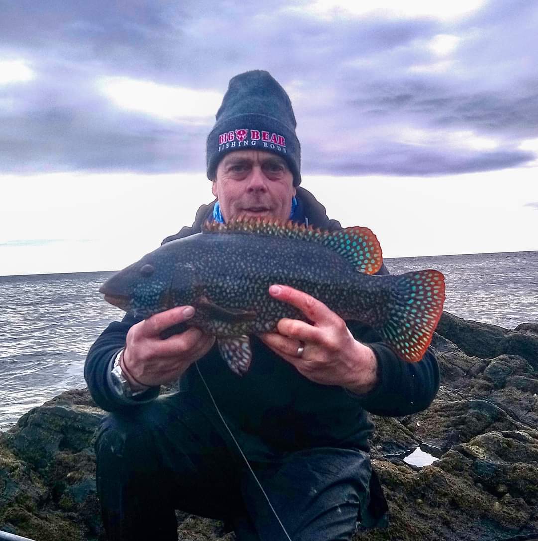 LureNuts's tweet photo. Member @damionfryer1 with some cracking wrasse.

#lurenuts https://t.co/CxzI38FfGs