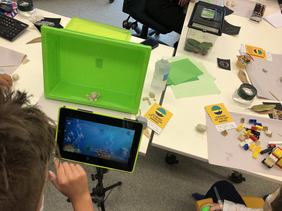 JulieOverton01's tweet photo. Learning about frogs @LHospitalSchool today. Students then did scratch art, made clay models and one even did animation using a green screen. The green tree frog from @GeorgesRiverEEC was witness to it all. 🐸 https://t.co/FlD786Xm2B