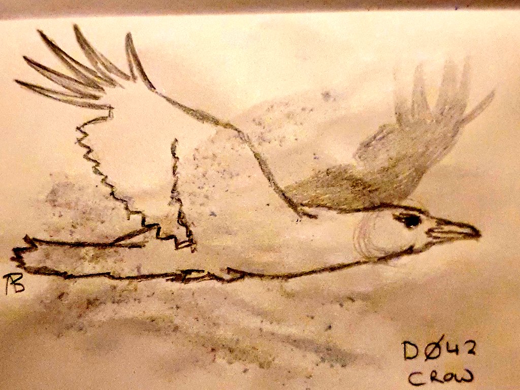 cunningartfolk's tweet photo. Added a bit of a filter as the painting on the other side is obscuring the image... Day 42 is a #crow gliding on #outstretched #wings - #100DaysOfCorvids #The100DayProject https://t.co/2gHJXrtw1z