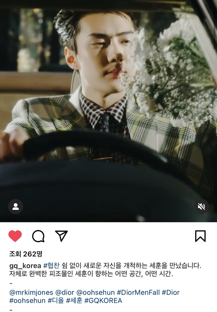 코드◡̎ tweet media