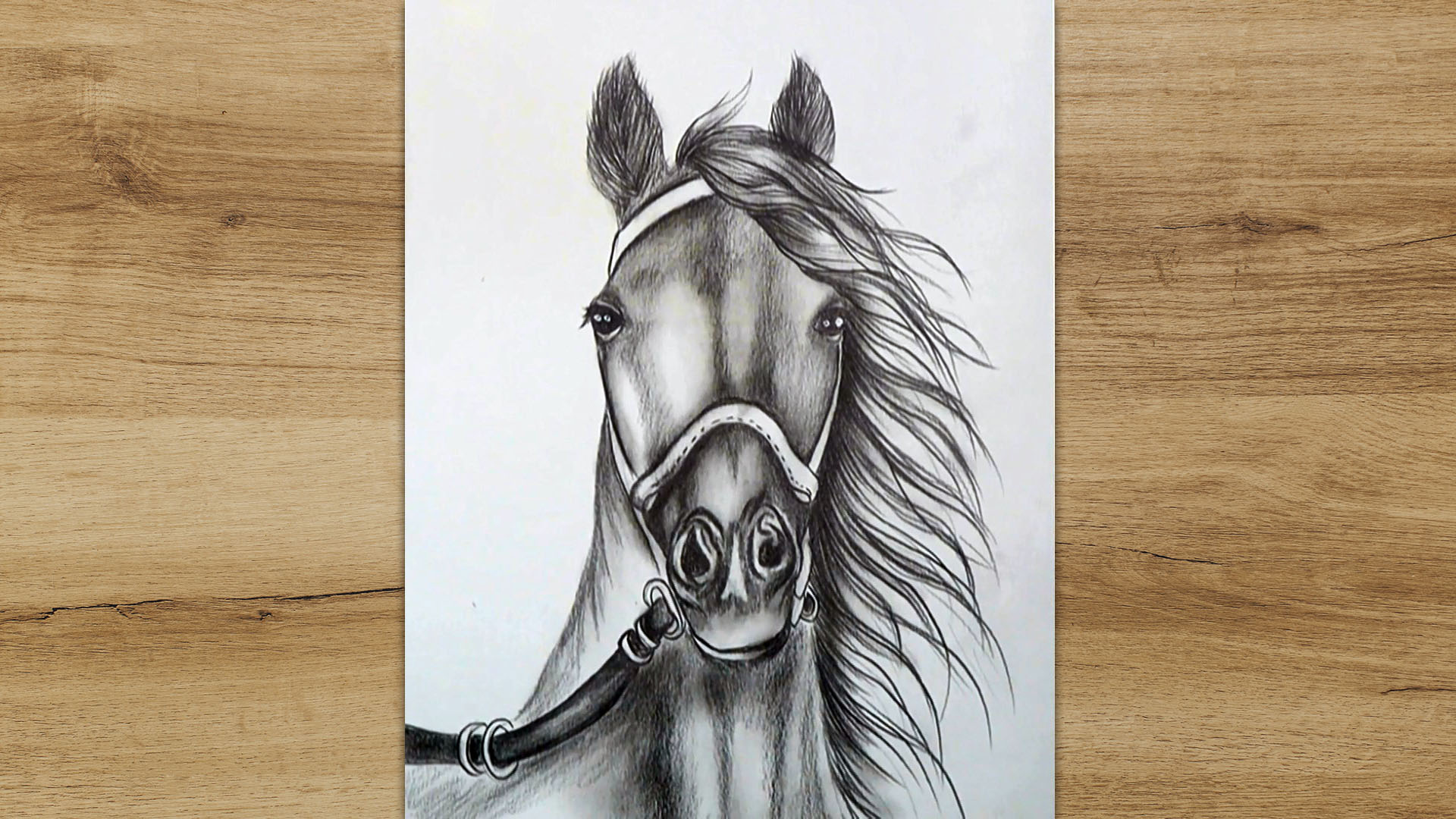 Horse Face Stock Illustrations Cliparts and Royalty Free Horse Face Vectors