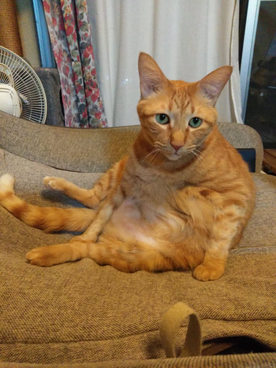 pupusann1's tweet image. #нетвойне
#NoWar 
#StopRussiaAggression 
#戦争反対
#ペンは剣より強し
💙💛