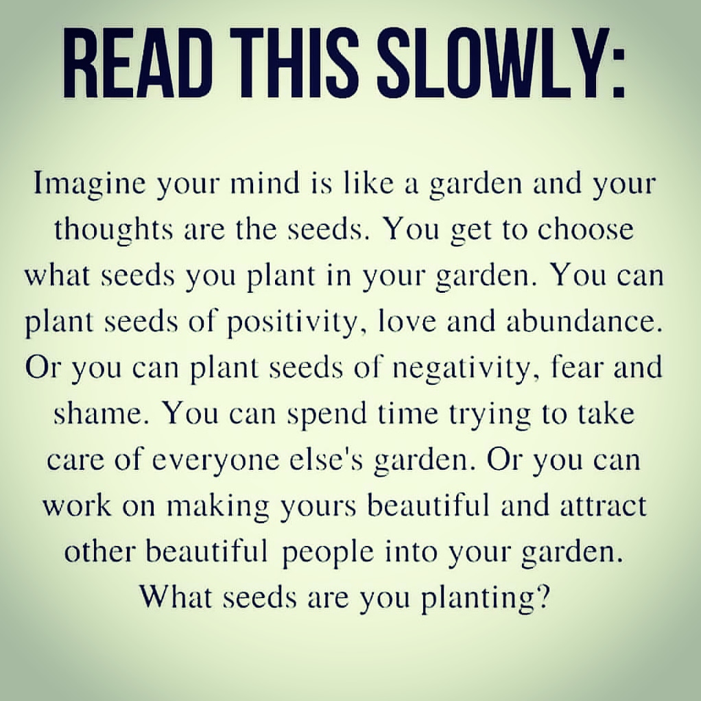 DeeptiSachdeva_'s tweet photo. What seeds are you planting?
#TTFD #goodmorning #mondaythoughts https://t.co/9lvlVgFaM2