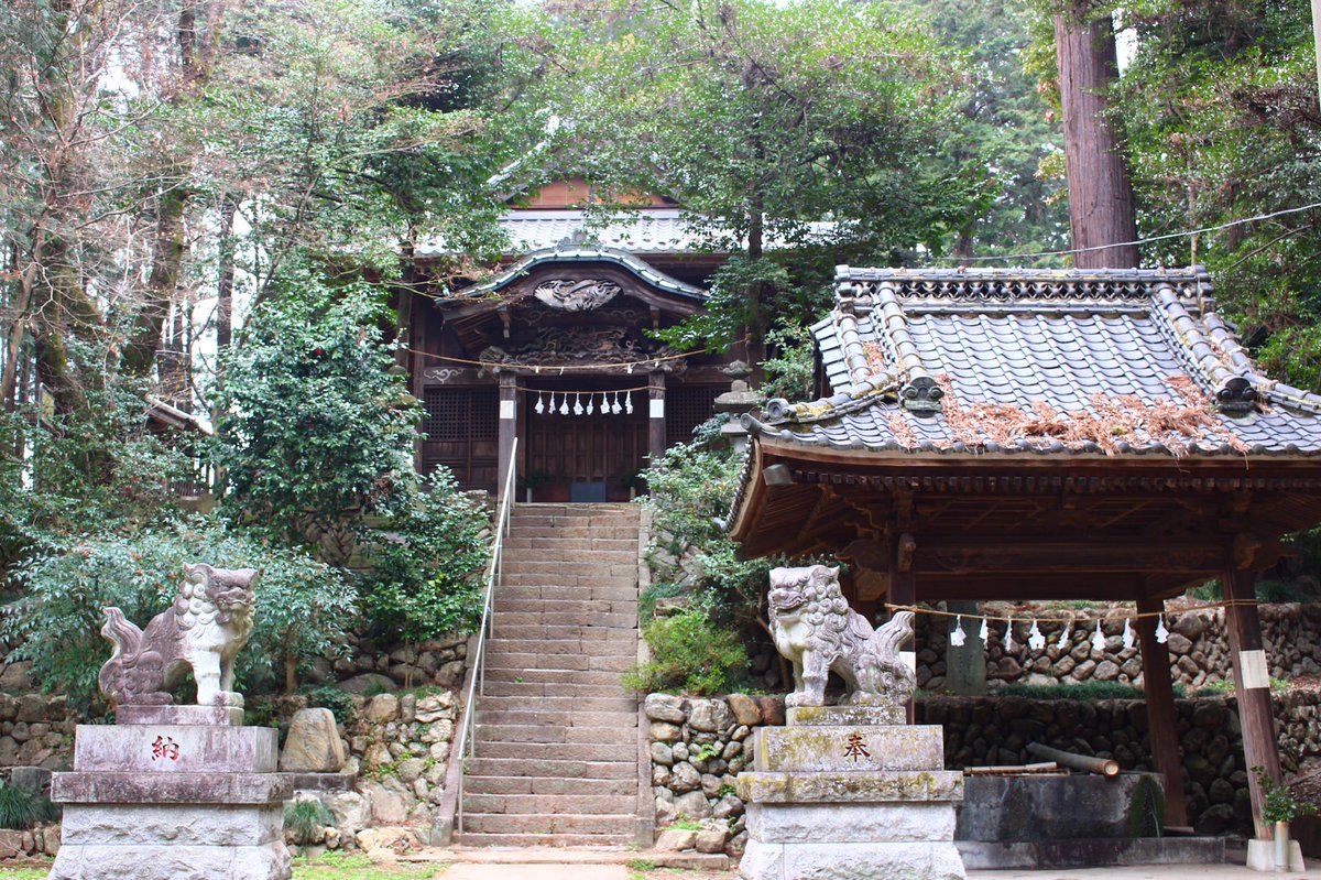 ぽんぽこ・たぬゑ tweet media