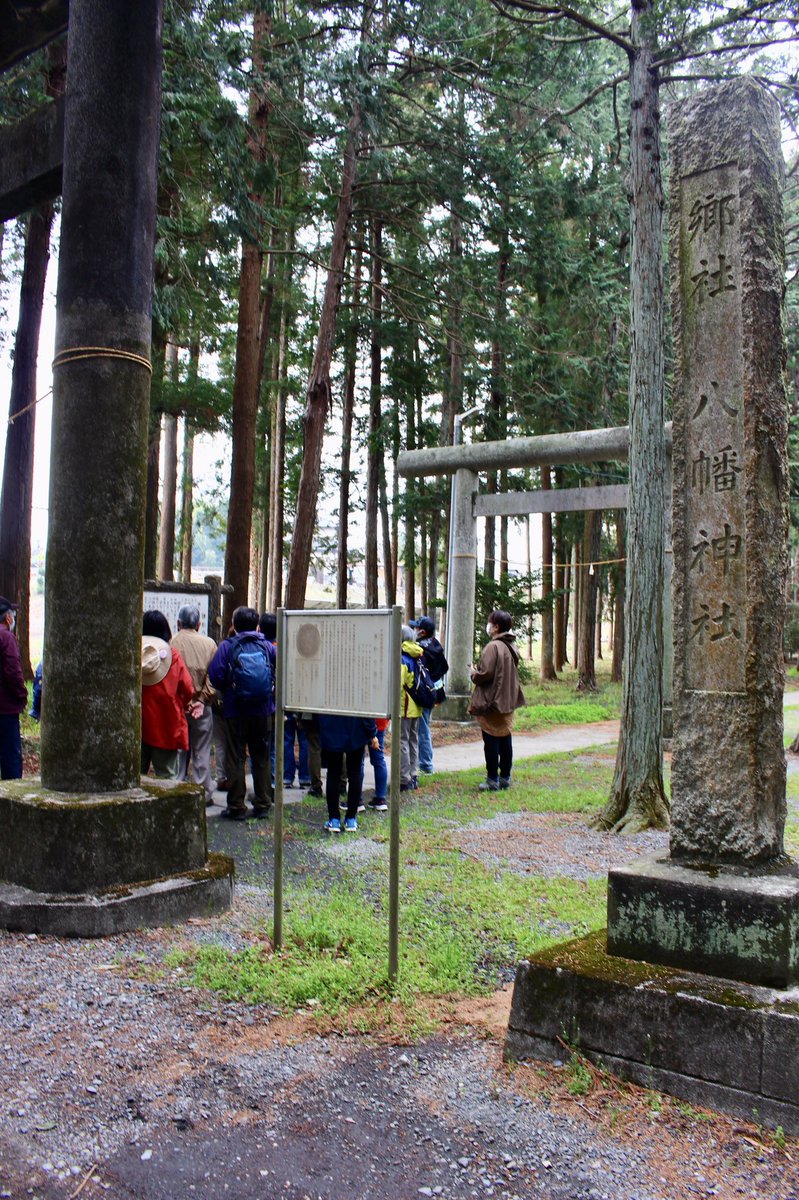 ぽんぽこ・たぬゑ tweet media