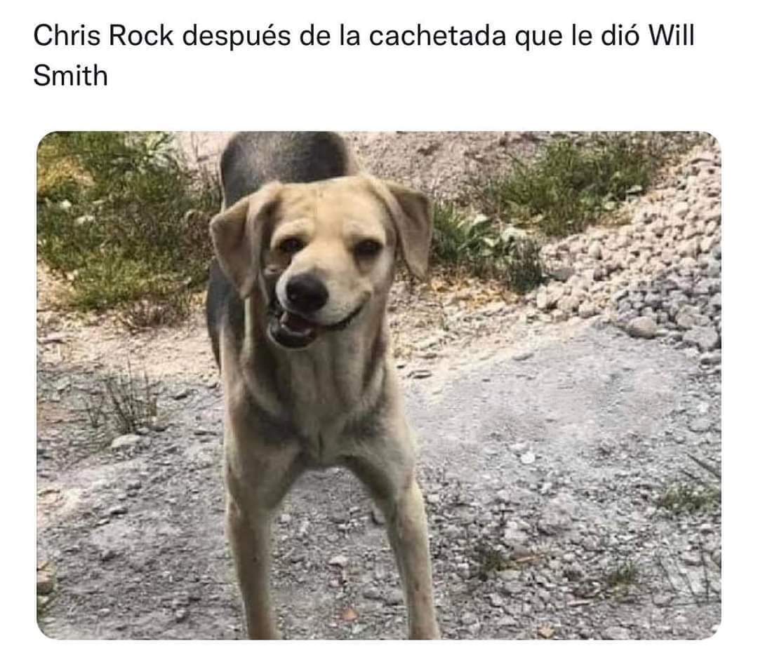 Y con mucho gusto les presento el mejor meme entre Chris Rock y Will Smith que se llevó la noche #Oscar
