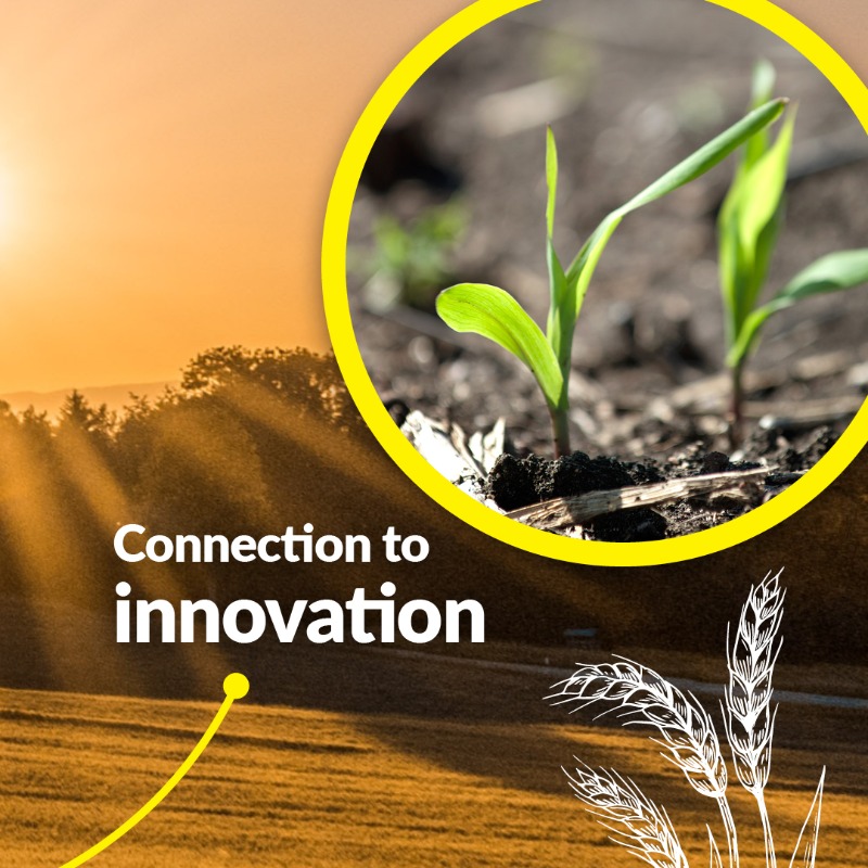 unisqaus's tweet photo. Agriculture at @usqedu...
๐พ Offers infinite possibilities, says @bkvmccabe.
๐พ Has global impact, says @GavinJAsh.
๐พ Drives education forward, says @CraigBaillie_Ag.
Swipe and connect the dots for more.