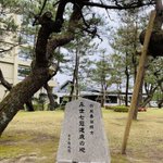 旅する占い師★雅雅(ガガ)のツイート画像