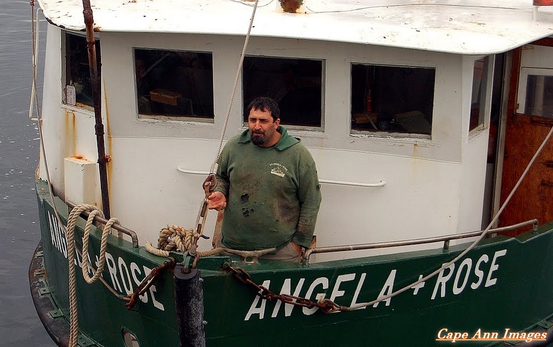 Cape Ann Images: A March Mix and Oscar Winner! capeannimages.blogspot.com/2022/03/a-marc…