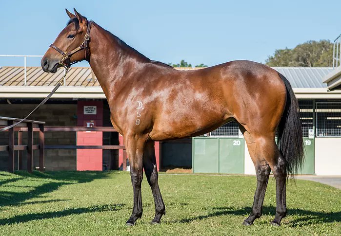 NewgateFarm's tweet photo. Another smart win🥇 for Flying Annie✈️ for team @cmaherracing with Louise Day on board🏇

The daughter of Flying Artie✈️ was a @mmsnippets purchase for @Darby_Racing ➕ @wj_bloodstock ⭐️

Congratulations winning connections @Onedreamracing @markmccann25 &amp; breeder @daandine 🙌🙌 https://t.co/fVPGErJ7Ad