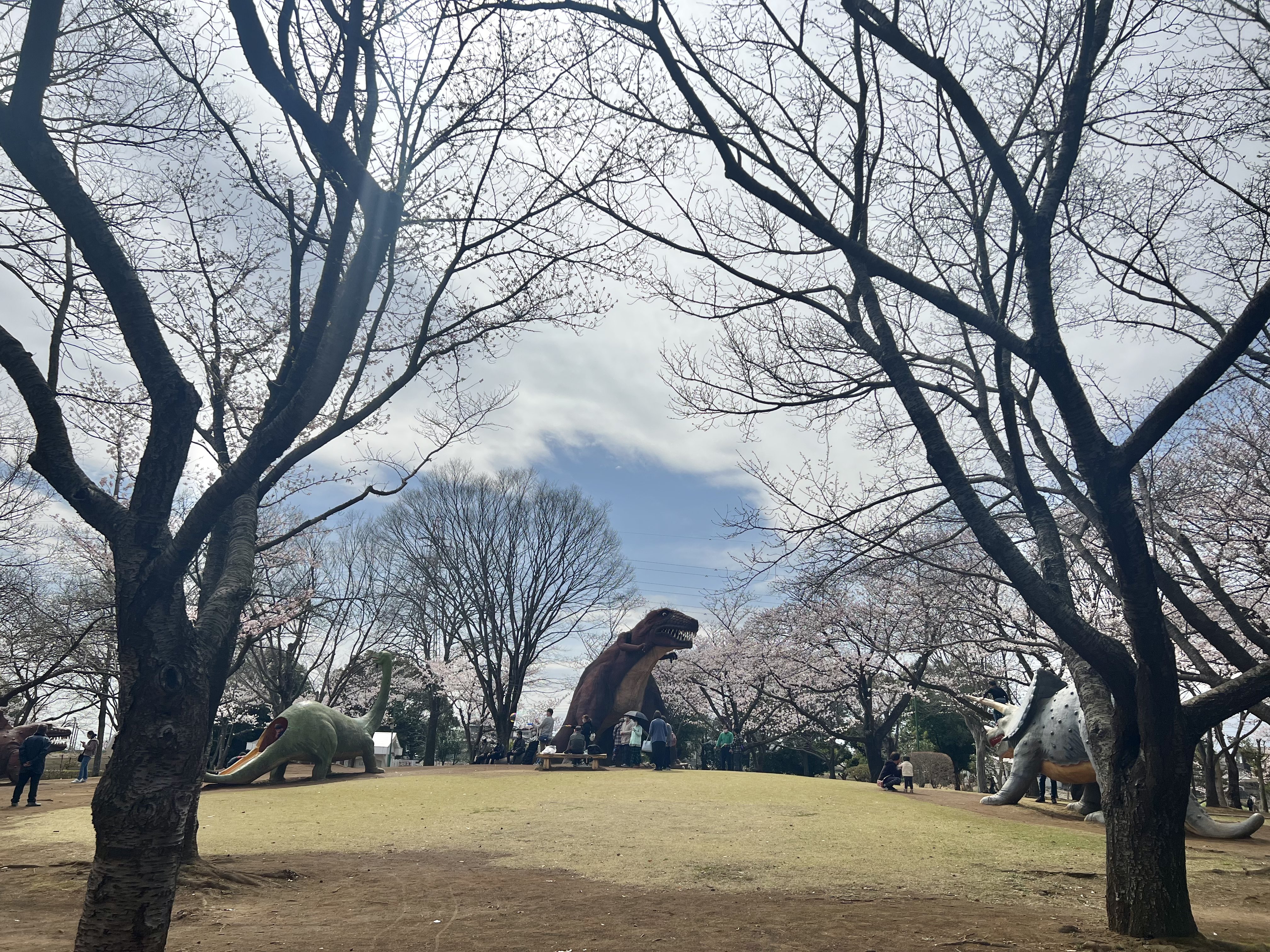 八坂公園 Twitter Search Twitter
