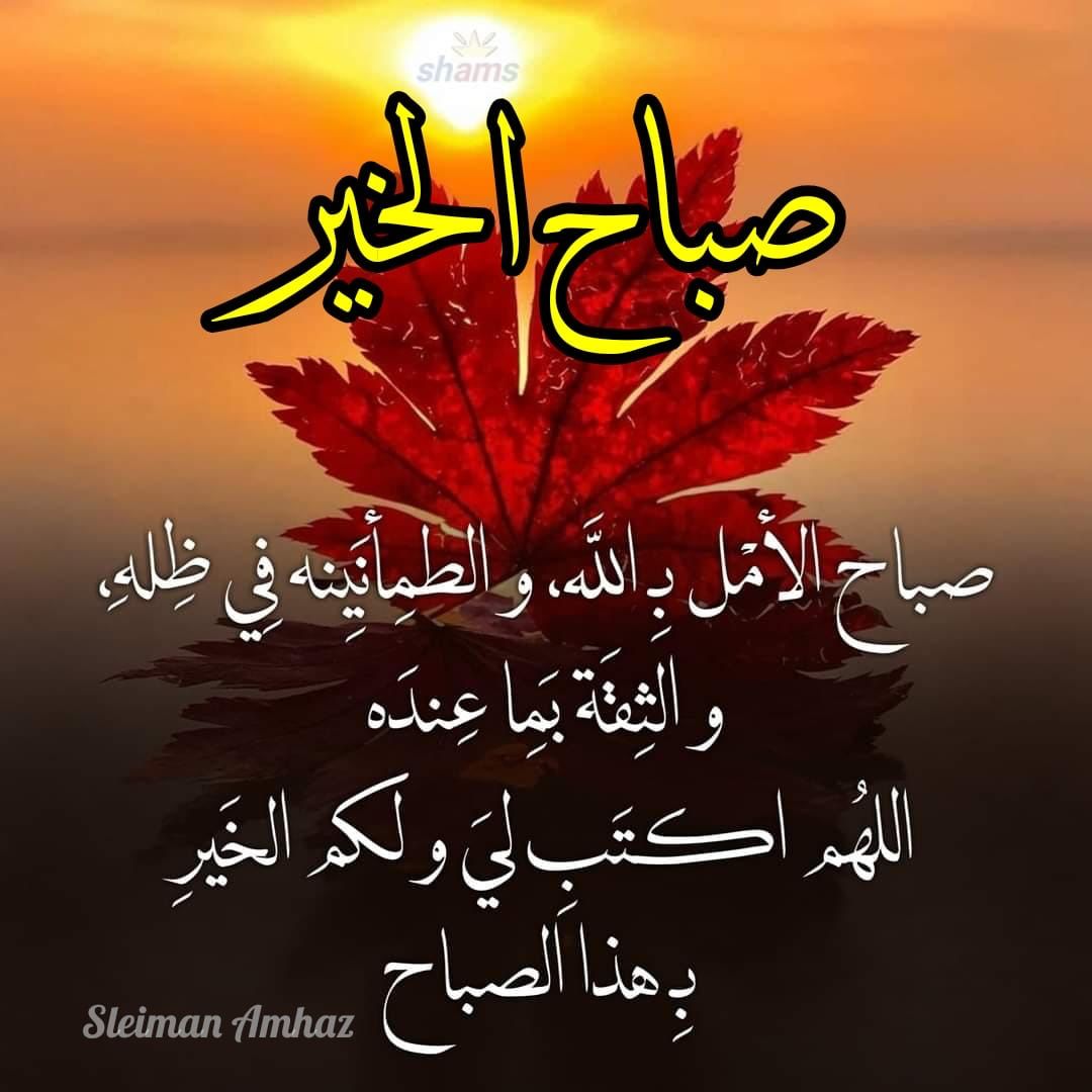 bashar33512069's tweet photo. @foziyeh_2020 https://t.co/uSZQl3bIS9