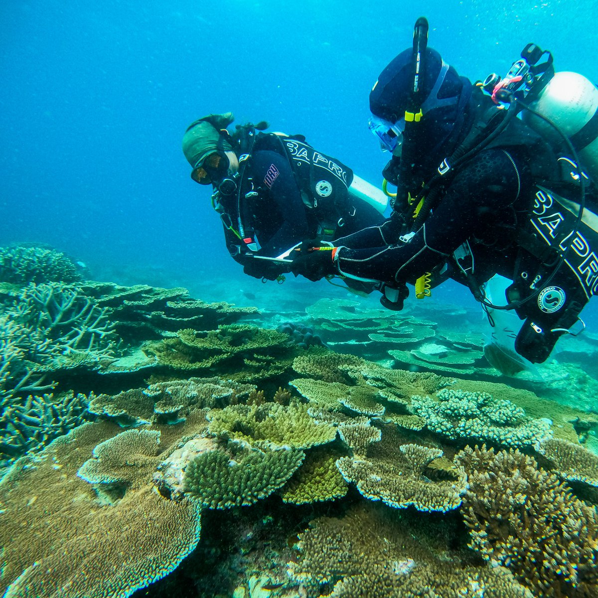 One of our offices :) We are out on and under the water almost every day to study the Reef. #GreatBarrierReef