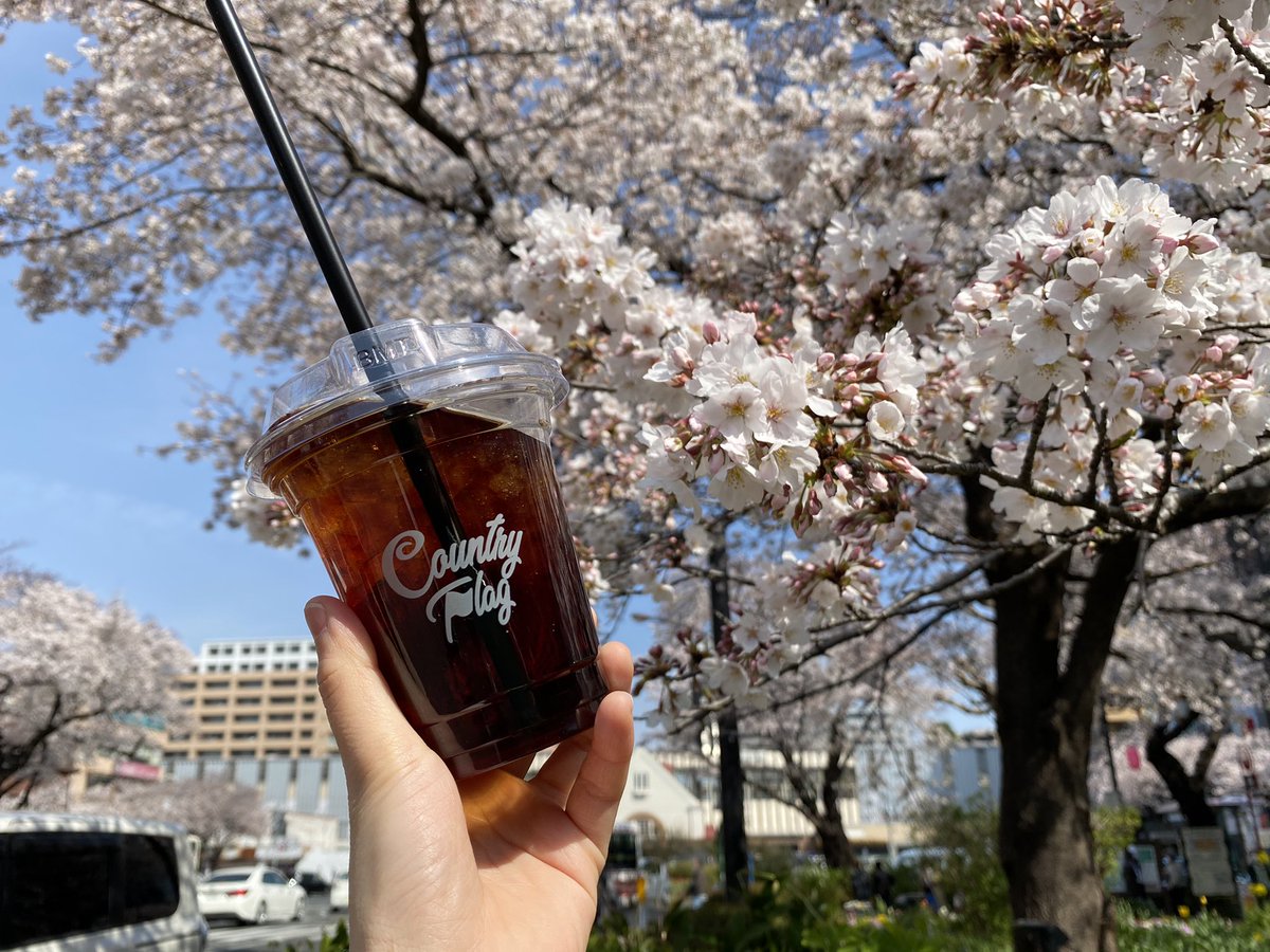 CountryFlag1's tweet photo. 桜も咲いて、すっかり春になりましたね🌸

お花見のお供にテイクアウトのドリンクはいかがですか☺️？
人気のプレミアドリップを始め、抹茶ラテやカフェラテなどのメニューもご用意しております☕️

19時半まで受け付けているので、夜桜を見ながらでもいいですね🌙
＃桜 ＃お花見 ＃テイクアウト https://t.co/JjMYe9kUSk