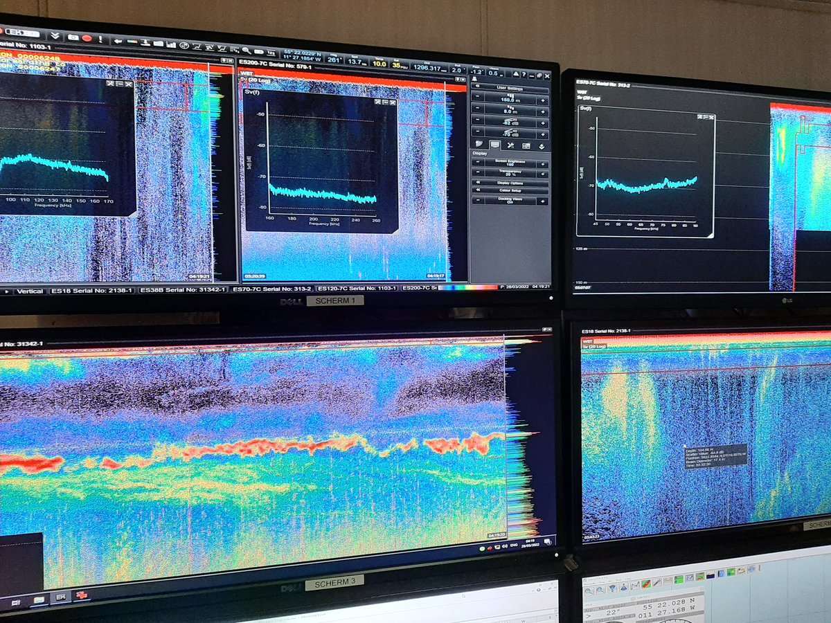 ssakinan's tweet photo. Zooplankton, cornerstone of marine food web and key elements of  global carbon cycle. Fish surveys provide opportunity to study them. While our objective is to quantify #BlueWhiting spawning stock, we also collect valuable zooplankton data including broadband acoustic backscatter https://t.co/02OhTtXM9g