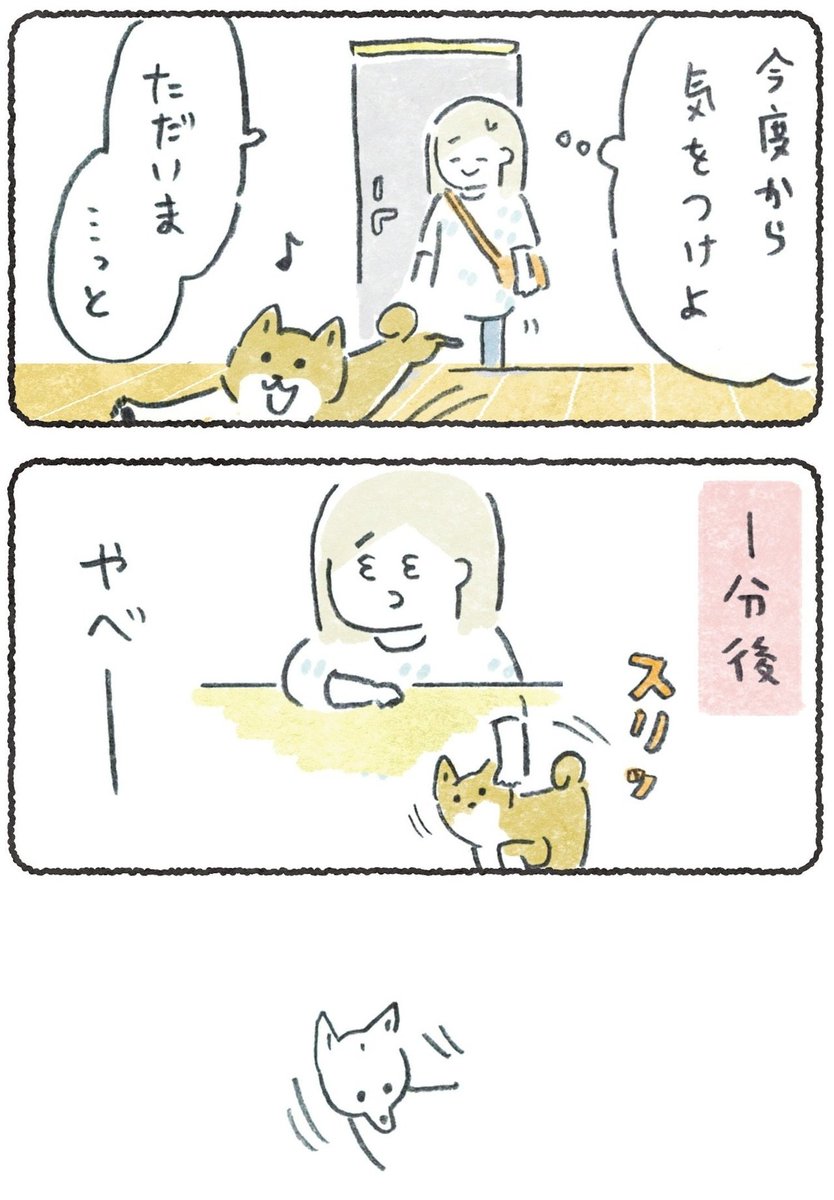 「これをすれば…!」
さんぽの合図を見つけた犬

リプにつづき貼ります
#豆しばこつぶ 