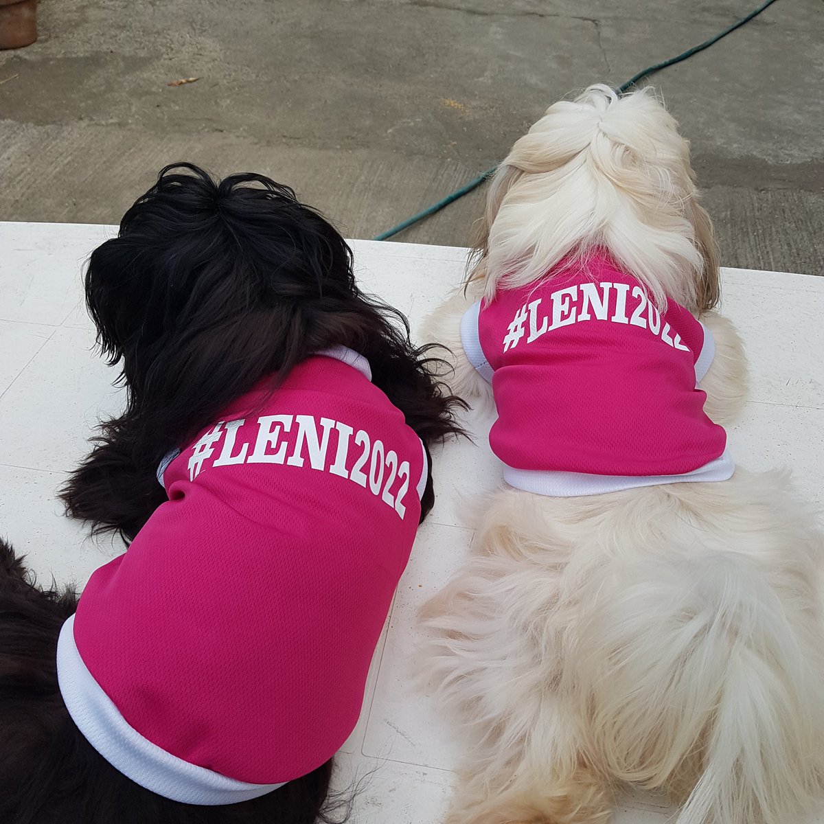 JohnRexEndeno's tweet image. My little kakampinks! 💗🎀🌸

#RobreDogs
#CalbayogIsPink 
#CatarmanIsPink 
#SamarIsPink
#CatbaloganIsPink