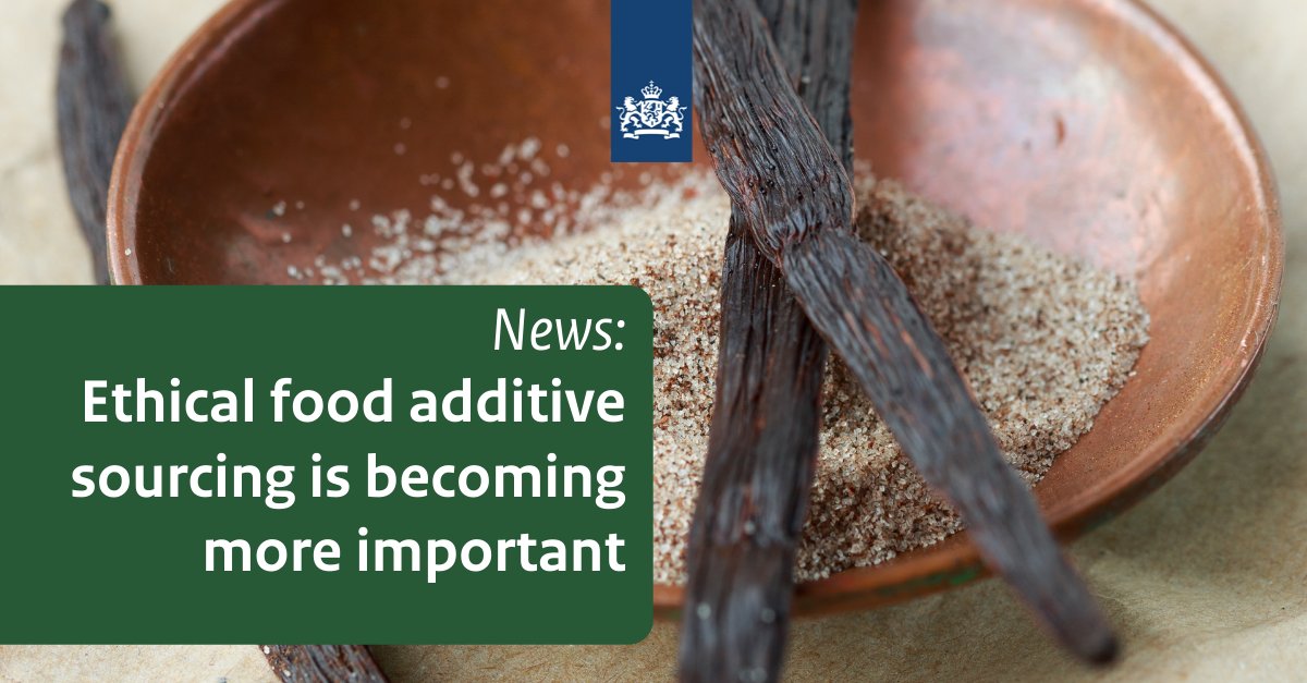 CBI_NL's tweet image. Ethical sourcing is becoming more and more important to European food additive buyers. But what does this mean? 

Let us look at vanilla as an example ➡️ bit.ly/36RTuYr

#Ethical #sourcing #Naturaladditives #Food