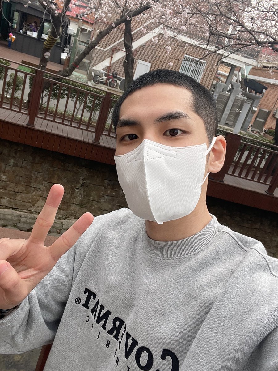 아니 너무 귀여워 뭐야???? 지금 봄인데 벌써 알밤이 나와도 되는 거야???