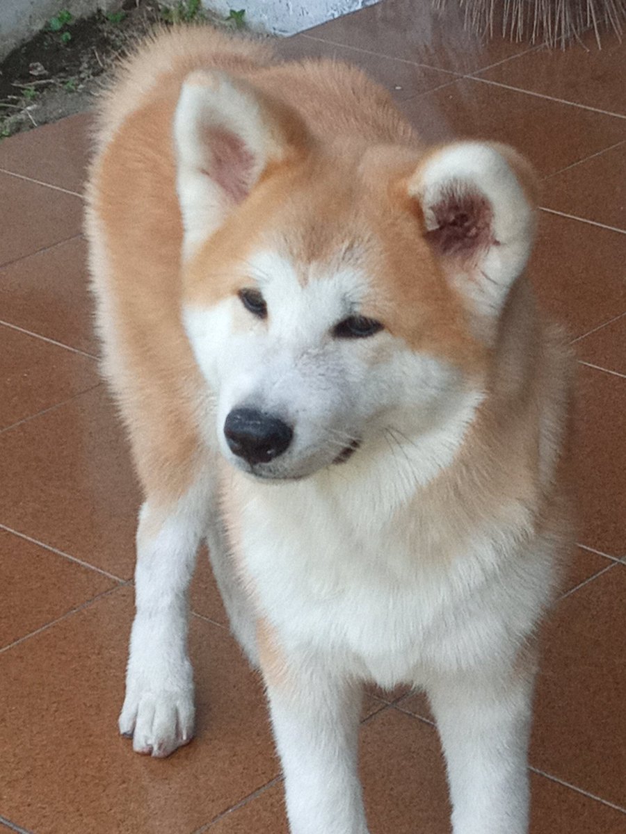 babushkya's tweet photo. https://t.co/4msVbIJ86G