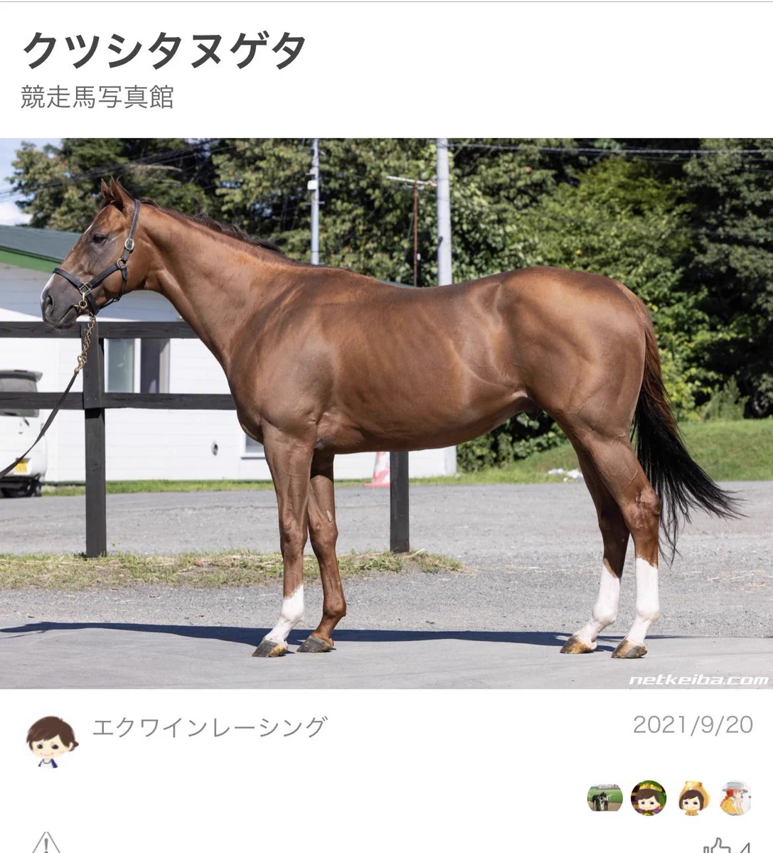 競走馬の名前がふざけている？本当に名前の通りだったwww