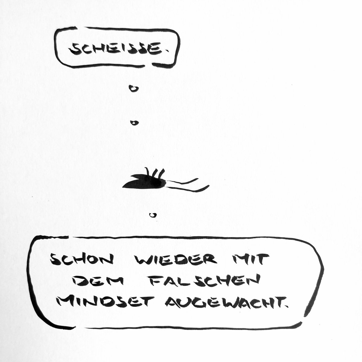 meta bene tweet media