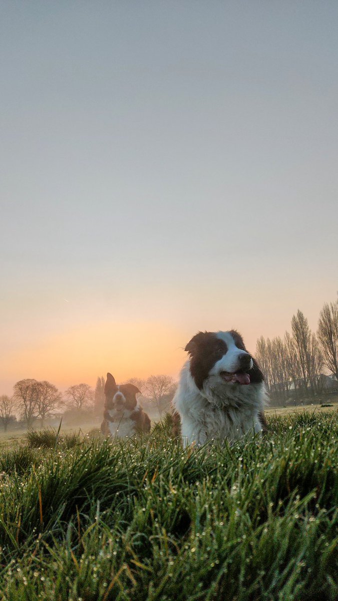 Michael Hagan tweet media