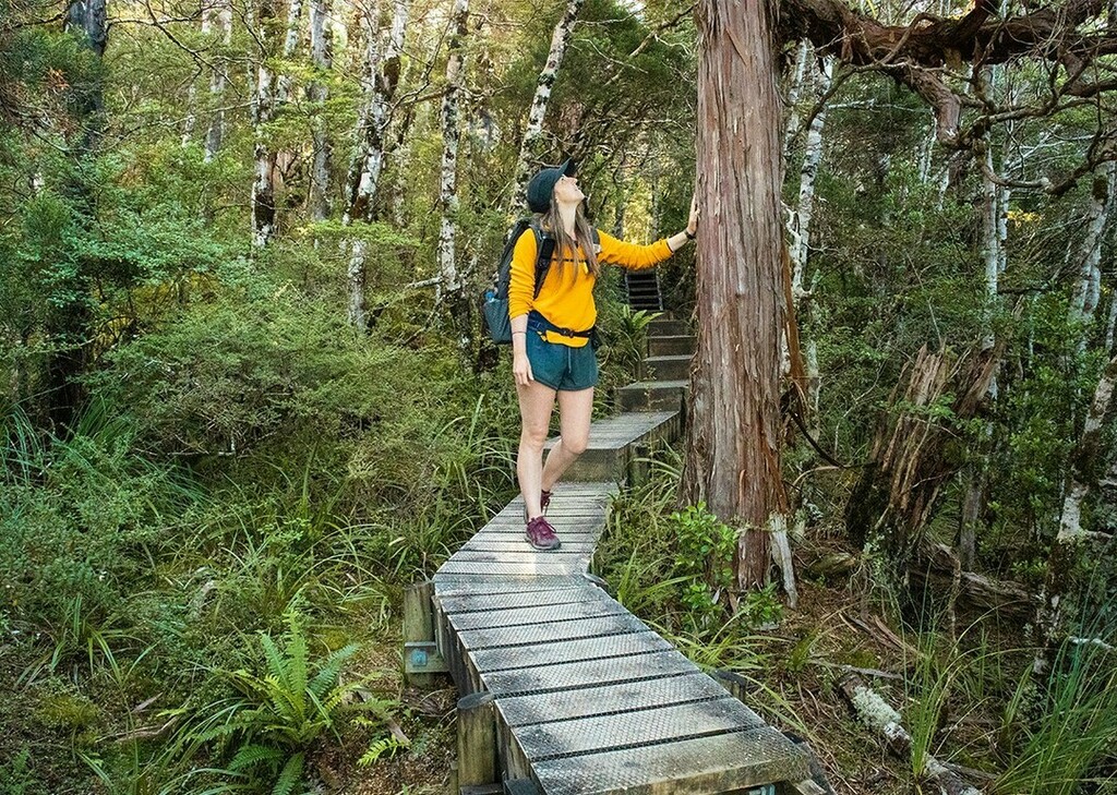 LongWhiteGypsy's tweet photo. Regardless of whether it's a day hike or overnight trip, the psychology of the return journey on an out-and-back track has always intrigued me.

You've already hiked the route, but seeing it from a different angle comes with all kinds of unexpected pleas… https://t.co/aNMPKnspQi https://t.co/lg4fcXMOml