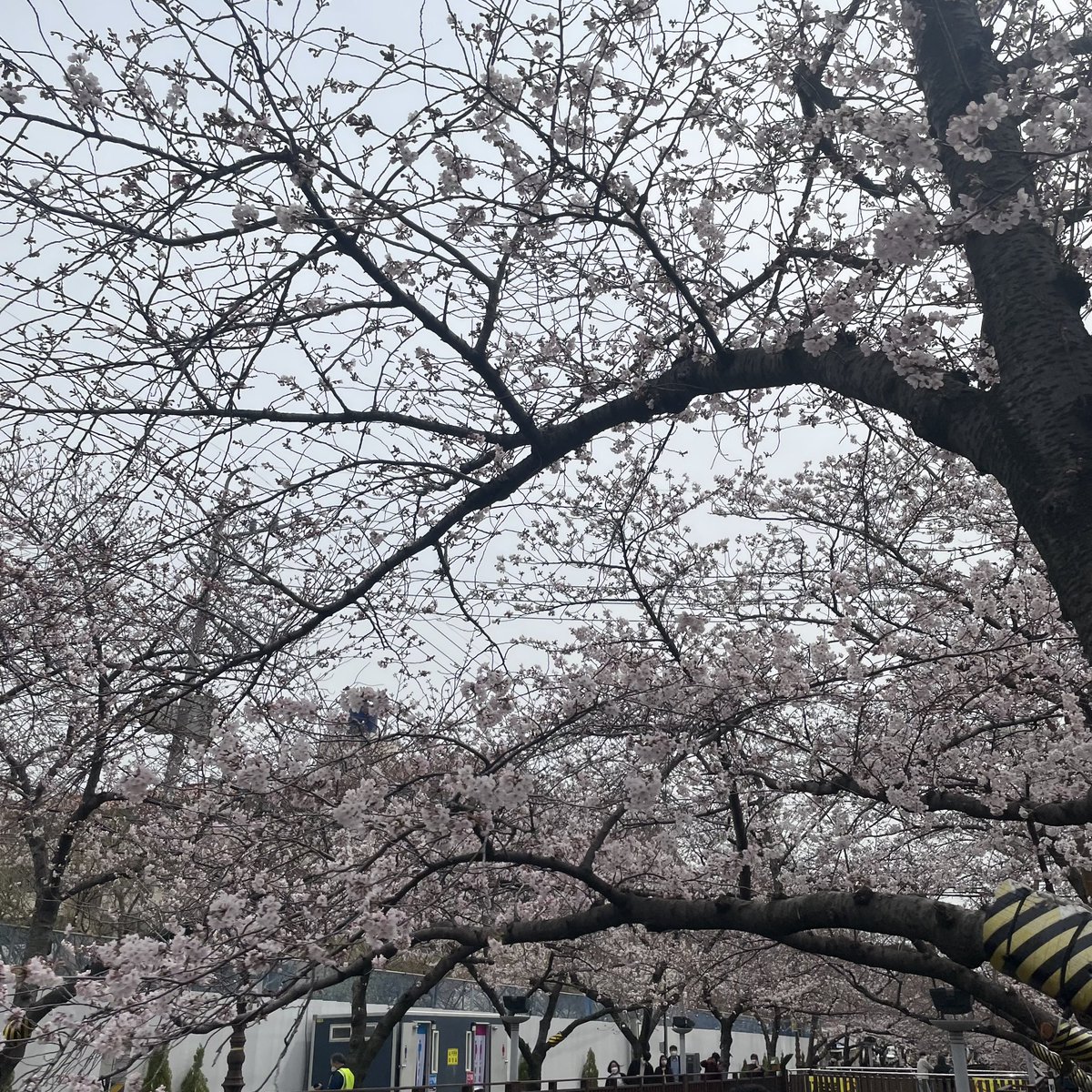 풋여름 tweet media