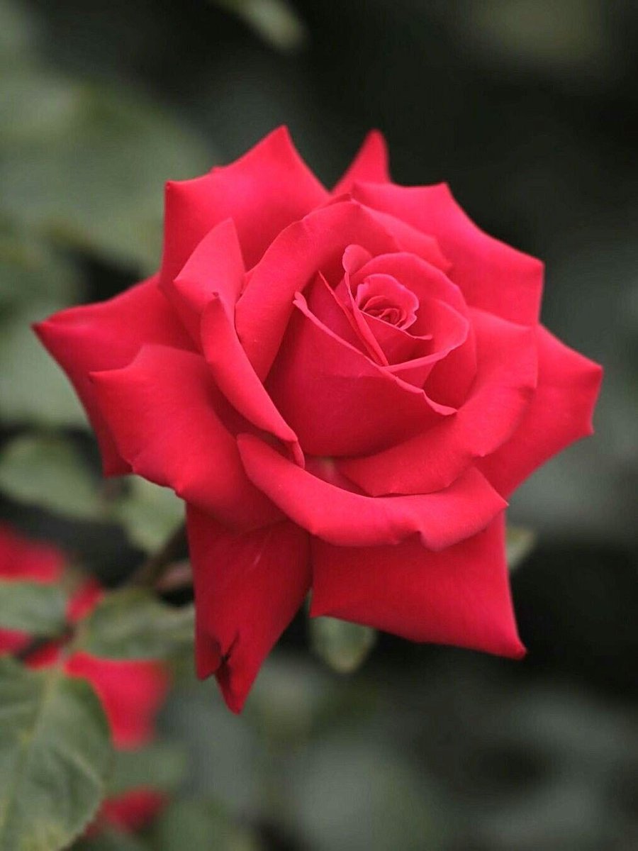 🕊
#صباح_الورد 
.
.
.

اعلم أن قليلا يغنيك خير من كثير يلهيك، وأن البر لا يبلى، وأن الإثم لا يُنسى 
.
.
.
#صباح_الخير 
🕊