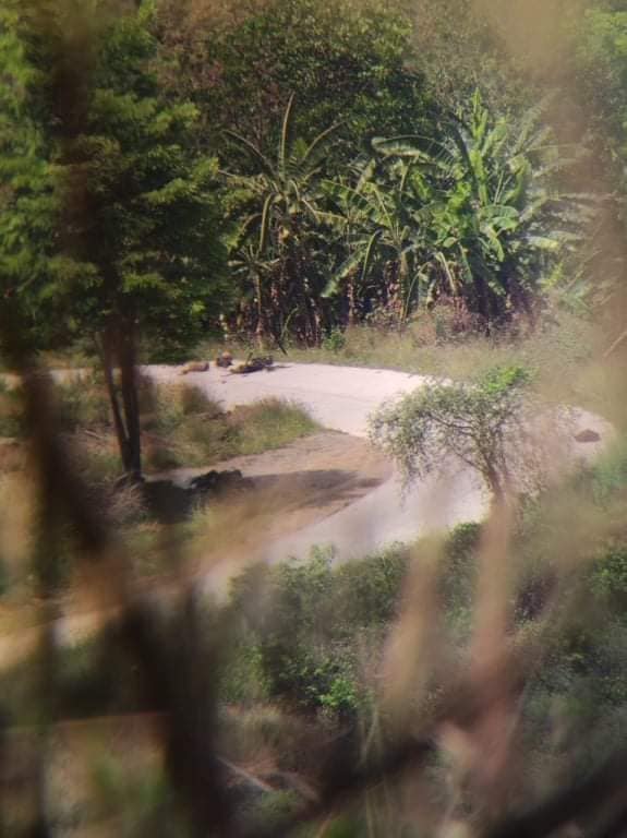 IrrawaddyNews's tweet photo. Sixty-one junta soldiers were killed and weapons were seized in fighting in Karen State’s Myawaddy Township on Sunday, according to COBRA, a resistance group fighting alongside the Karen National Liberation Army. (Photo: Cobra) #WhatsHappeningInMyanmar https://t.co/yoUuYHMXg7