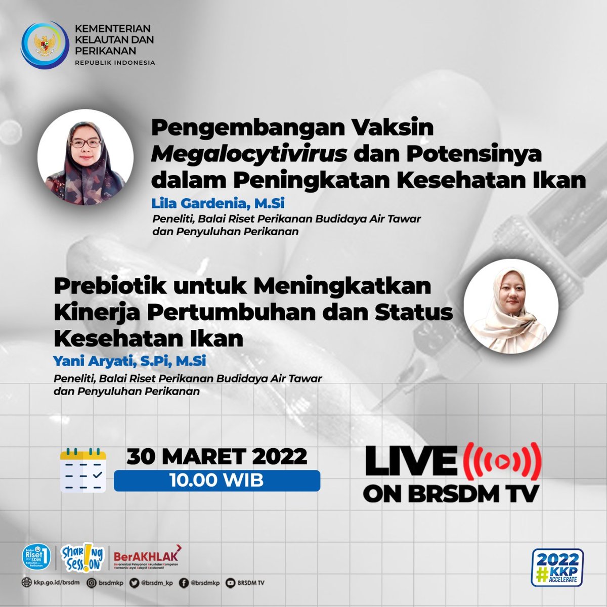 #SobatBahari, Yuk join Sharing Session dgn tema "Pengembangan Vaksin Megalocytivirus &amp; Potensinya dlm Peningkatan Kesehatan Ikan dan Prebiotik utk Meningkatkan Kinerja Pertumbuhan &amp; Status Kesehatan Ikan".
🗓️Rabu, 30 Maret 2022
⏰10.00 WIB 
Live streaming youtube.com/c/BRSDMTV